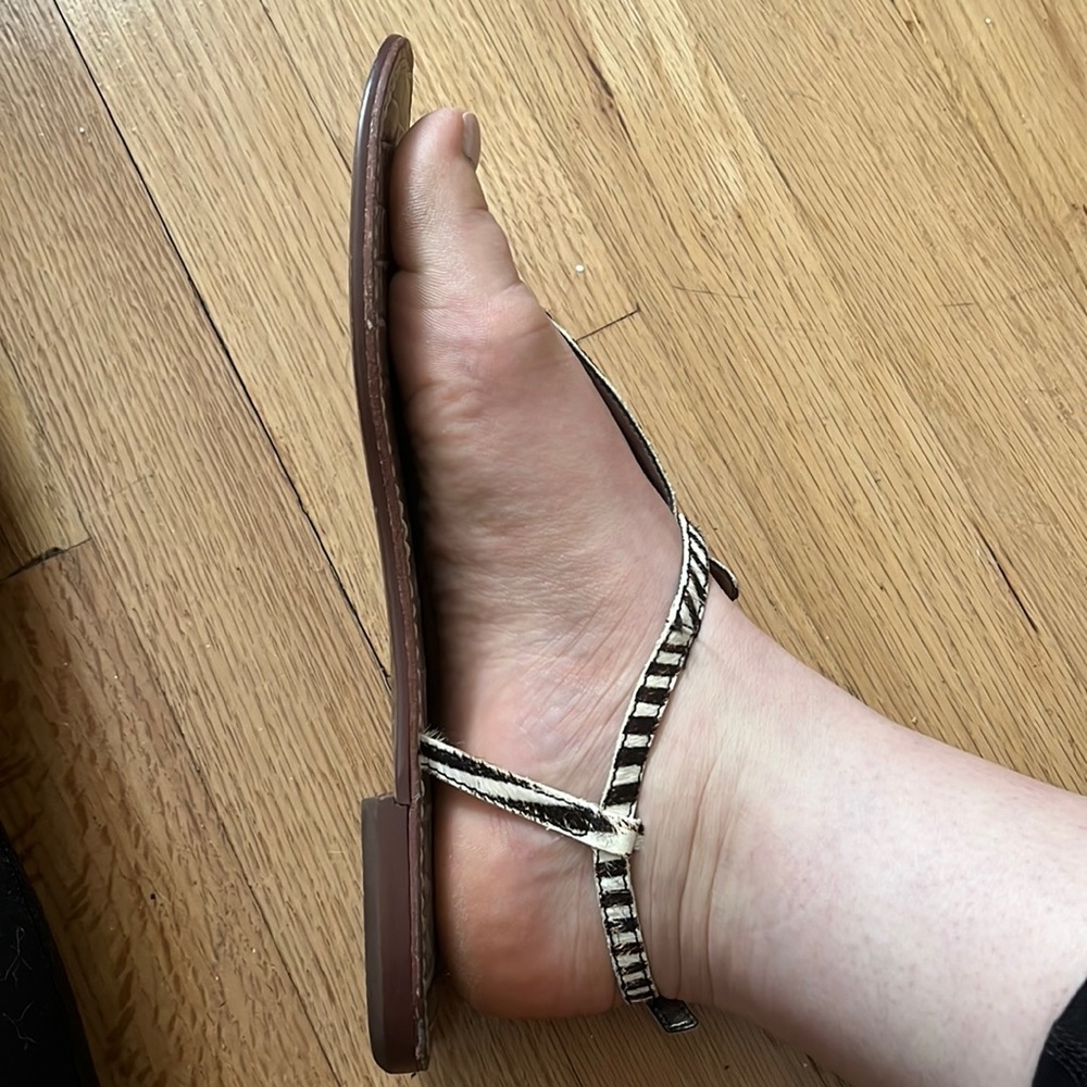 Sam Edelman Zebra Sandals